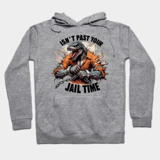 Isn't it Past Your Jail Time Hoodie